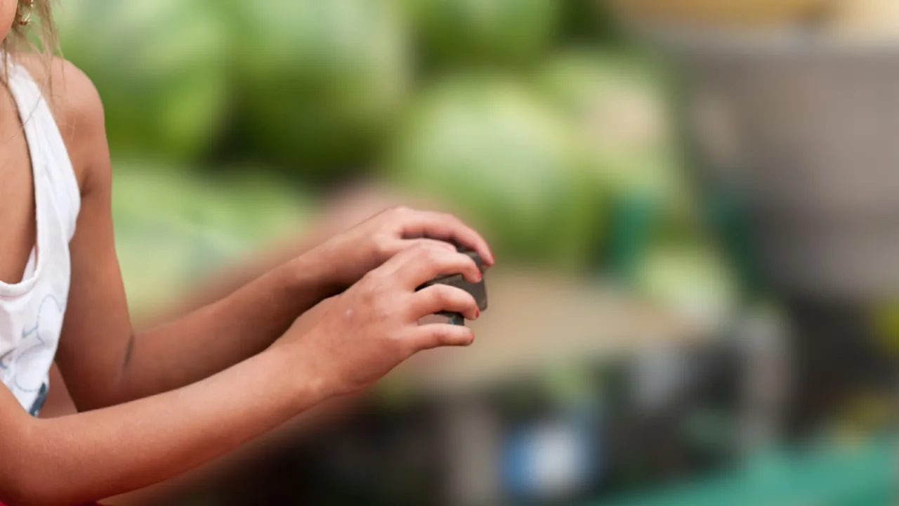 Carnaval em SC terá fiscalização contra trabalho infantil