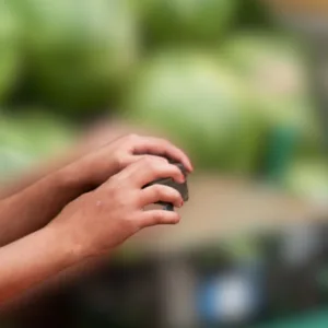 Carnaval em SC terá fiscalização contra trabalho infantil