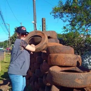 Chapecó reduz infestação do Aedes, mas risco segue alto | Foto: Divulgação