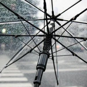 Chuva e calor devem marcar o domingo de Carnaval em SC; confira a previsão