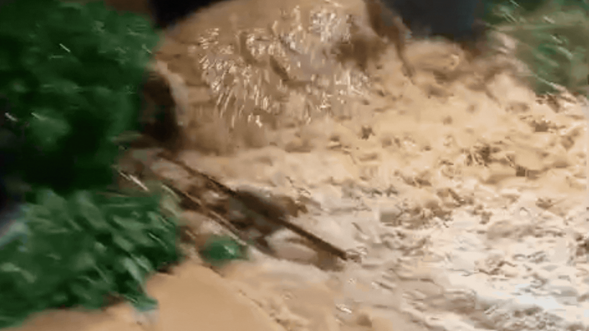 Chuvas em MG: passa de 50 o número de mortos