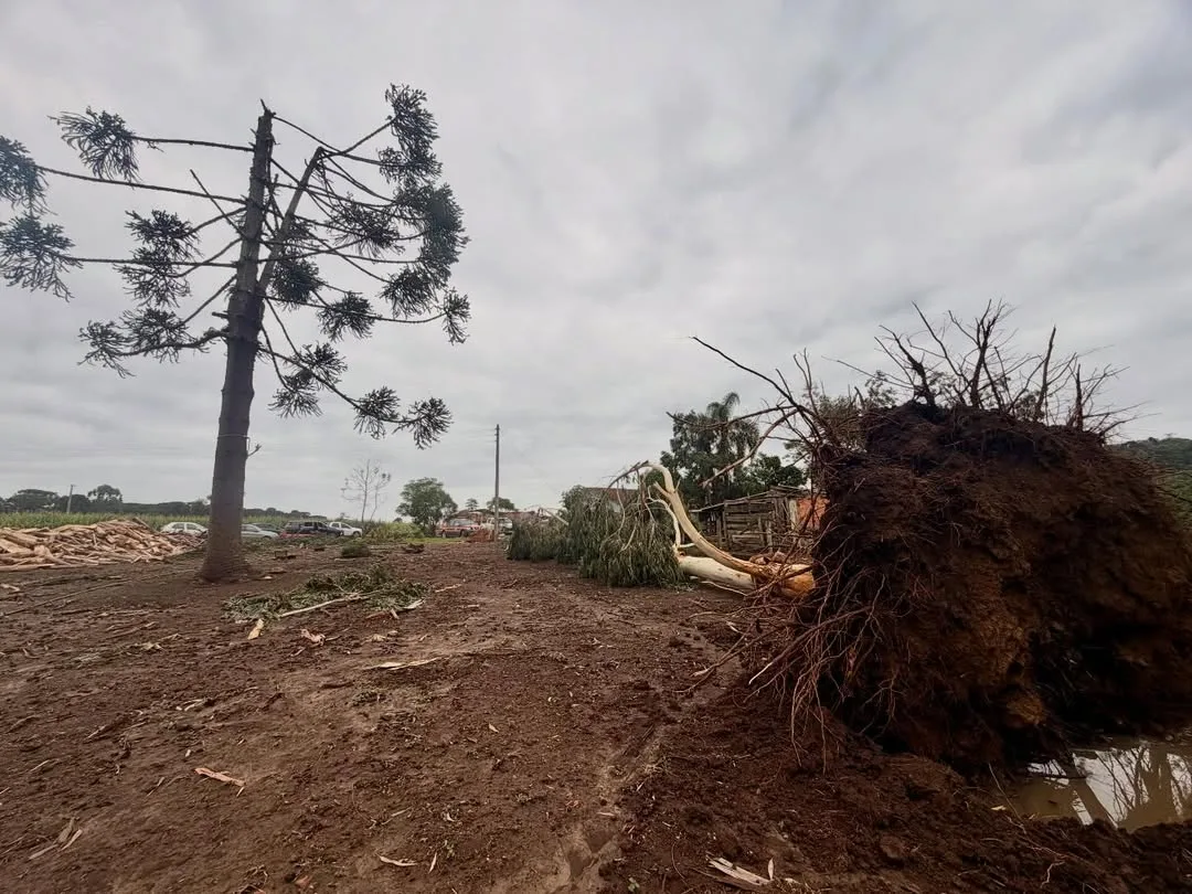 Cidade de SC decreta situação de emergência após forte chuva causar estragos
