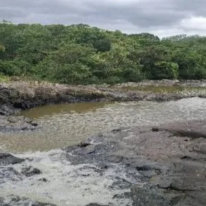 Foto: PMSC/Reprodução