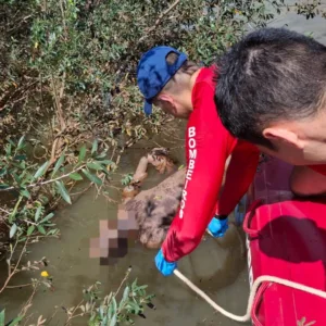 Corpo é encontrado boiando em rio de SC