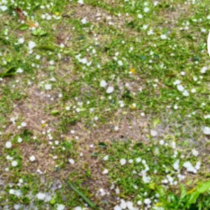 Defesa Civil alerta para novos temporais em SC | Foto: divulgação/Defesa Civil de Santa Catarina 