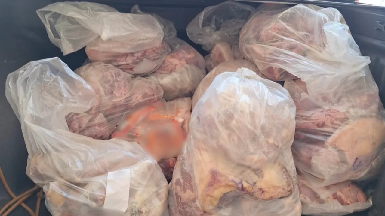 Denúncia leva à apreensão de 680 kg de alimentos em situação irregular em Xanxerê