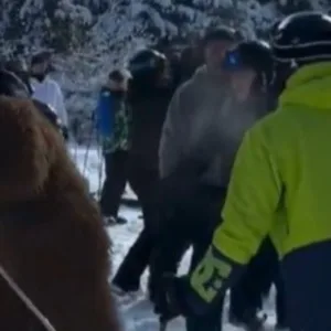 Fantasiado de Chewbacca brasileiro é agredido em estação de esqui; veja vídeo | Foto: @mattmooney_ | Redes Sociais