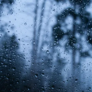 Foto: Freepik/Reprodução