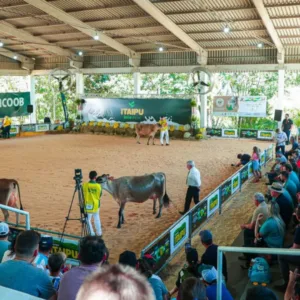 Itaipu Rural Show 2026 começa nesta quarta-feira; confira a programação | Foto: Itaipu Rural Show/Divulgação