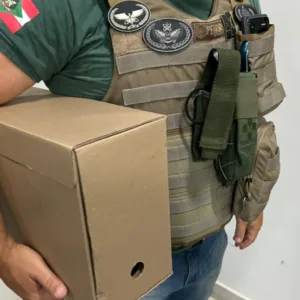 Operação investiga suposto esquema milionário em licitações em SC - Foto: GAECO/MPSC