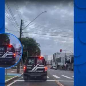 PCSC deflagra operação contra tráfico interestadual de drogas