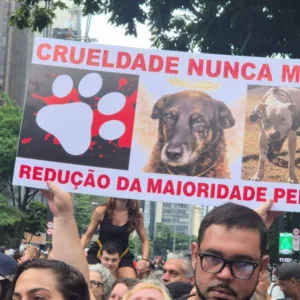Foto: Redes Sociais/ Sputnik Brasil