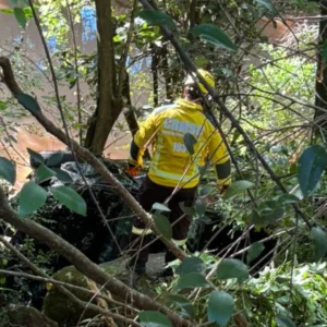 Veículo sai da pista e cai em ribanceira de sete metros - Imagem: bombeiros SC