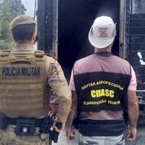 Polícia Militar inicia operação contra Farra do Boi em SC