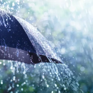 Previsão do tempo: chove mais em SC nesta quarta (25)?