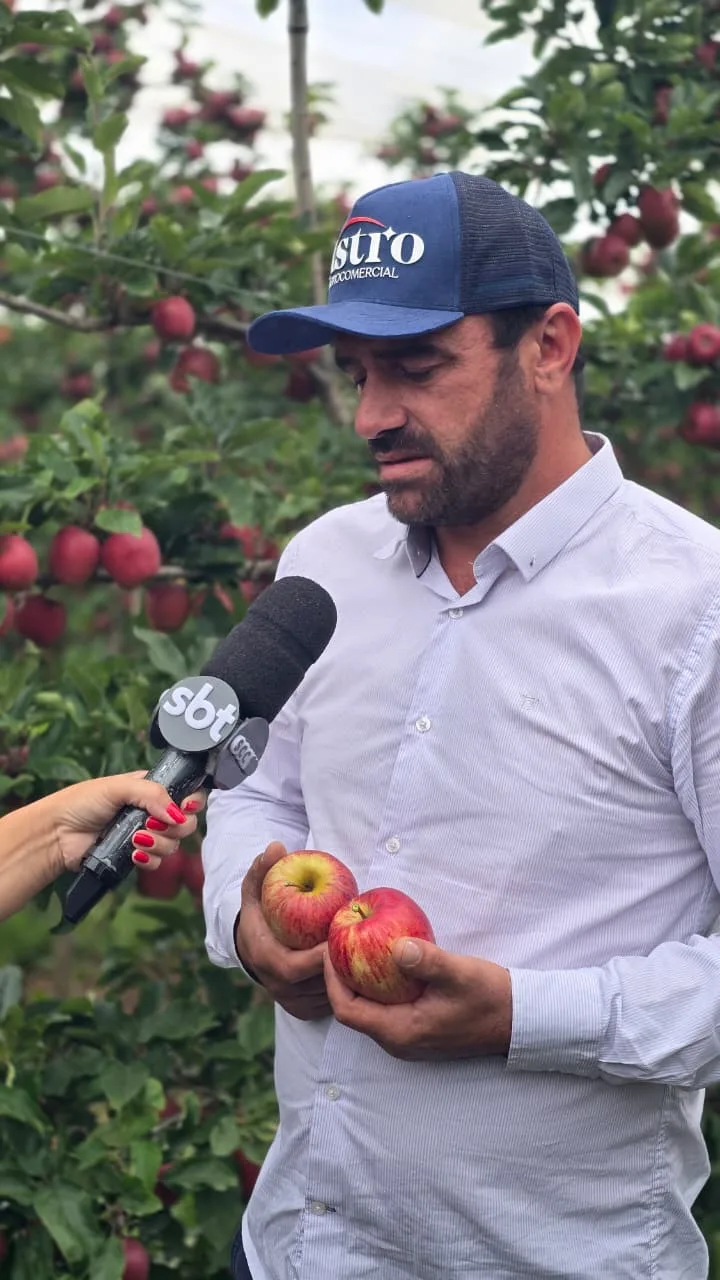 Produção de maçã anima produtores em São Joaquim