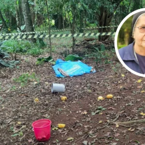 O suspeito tem histórico criminal por roubo e furto, e foi detido em flagrante após ser identificado por imagens feitas por uma testemunha | Foto: PCPR/Divulgação