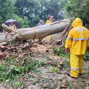 Foto: Prefeitura de Videira/Reprodução