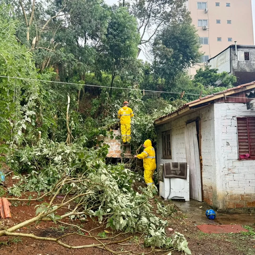 Tempestade com granizo derruba árvores e provoca estragos em Videira (1)