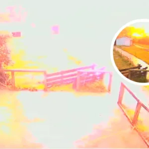 Vídeo mostra raio caindo em sítio no interior de SC  | Foto: reprodução. 