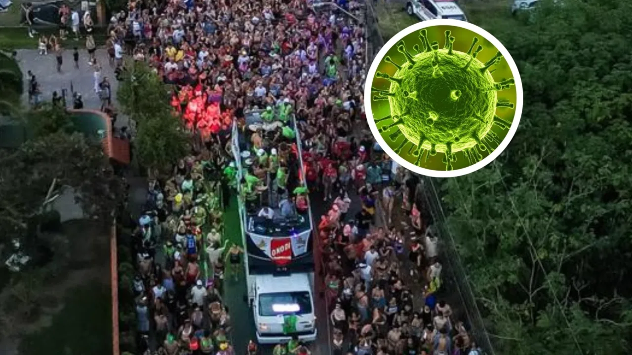 Vírus Nipah no Brasil? Veja os riscos no Carnaval