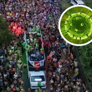 Vírus Nipah no Brasil? Veja os riscos no Carnaval
