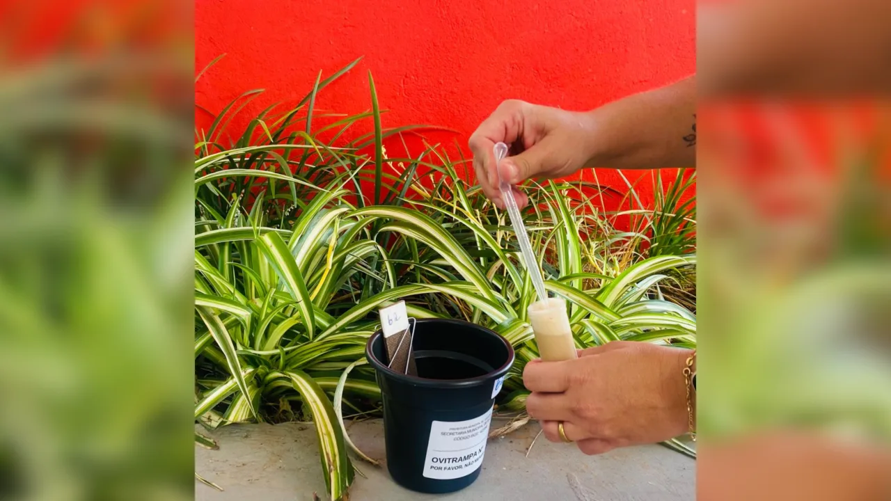 Xanxerê implanta novo sistema para combater o Aedes Aegypti