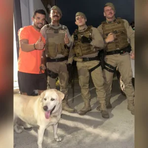 Foto: PMSC/Divulgação