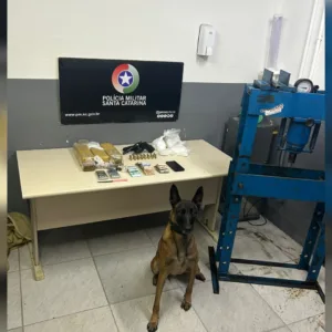 Adolescente envia localização à mãe e é resgatada de sequestro em SC