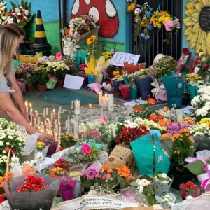 Autor do massacre em creche de Blumenau é condenado por esfaquear cachorro