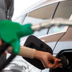 Foto: Freepik/Reprodução