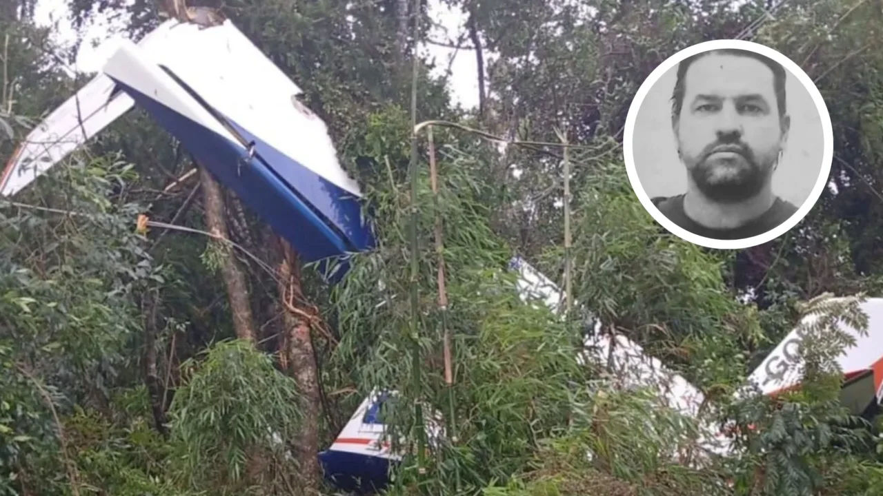 Avião que partiu de SC cai no Paraná e mata piloto