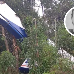 Avião que partiu de SC cai no Paraná e mata piloto