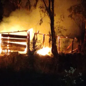Bombeiros combatem incêndio em galpão em São Joaquim