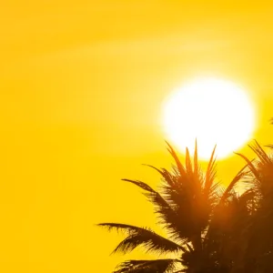 Foto: Freepik/Reprodução