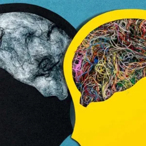 Dia Mundial do Transtorno Bipolar: entenda a data celebrada nesta segunda-feira | Foto: Divulgação