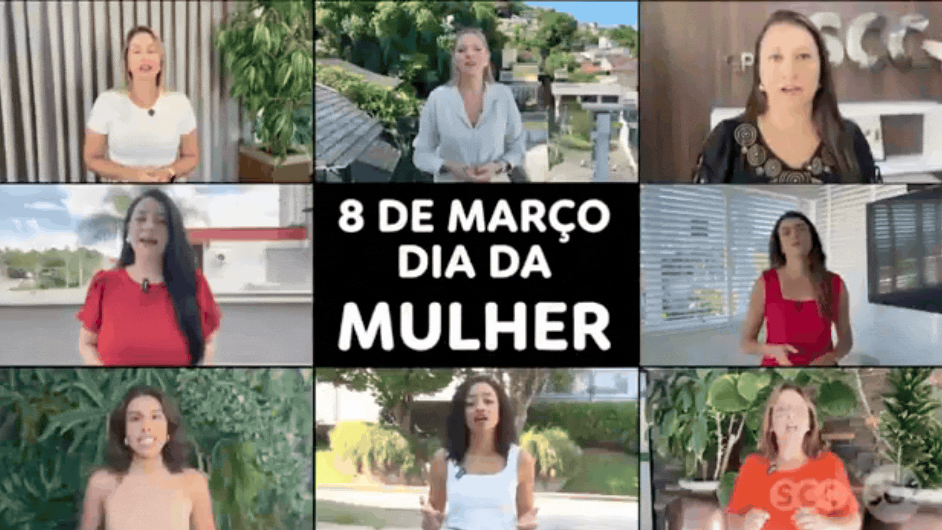Dia da Mulher: jornalistas do SCC SBT relatam histórias de força feminina 