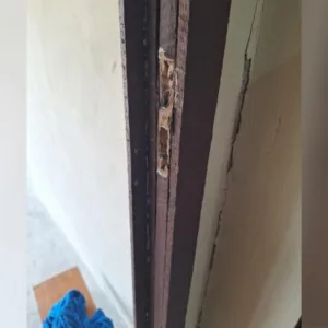 Homem agride mulher grávida e arremessa gato contra a parede em SC