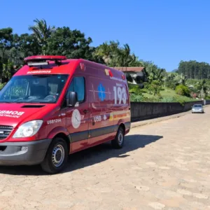 Homem morre após levar mais de 100 picadas de abelhas em SC