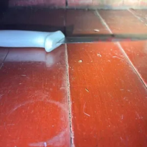 Foto: PMSC/Reprodução