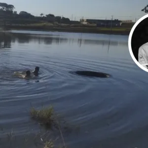Jovem morre ao levar choque enquanto buscava bola em açude em SC - Foto: Ilustrativa/ Redes Sociais