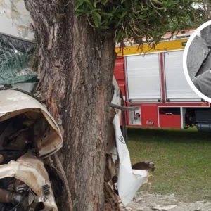 Jovem morre após caminhão sair da pista e bater em árvore