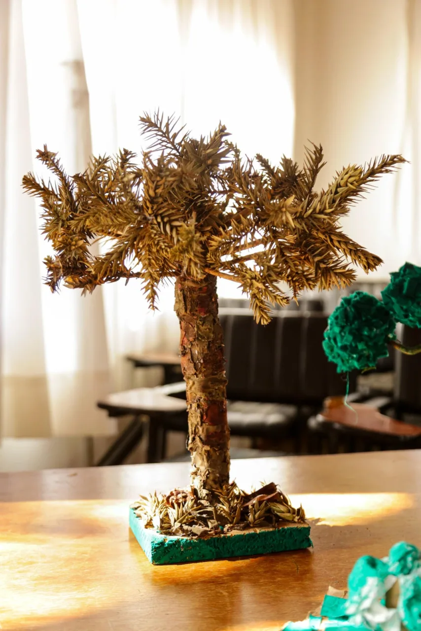 Lages realiza abertura oficial da Colheita do Pinhão