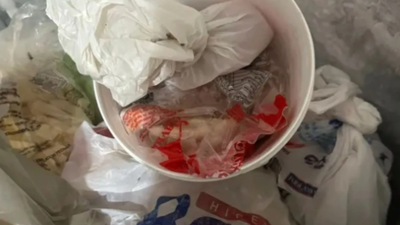 Laudo aponta bactérias após mais de 90 intoxicações em pizzaria