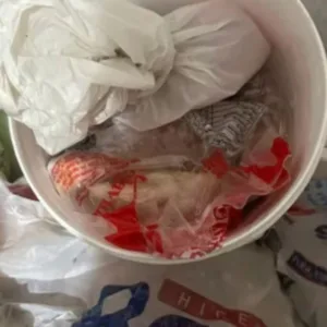 Laudo aponta bactérias após mais de 90 intoxicações em pizzaria