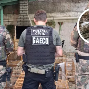 Operação mira tráfico de animais com 65 mandados em SC e 4 estados - Foto: MPSC