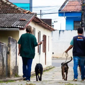 Operação resgata 6 cães e prende dois suspeitos por maus-tratos