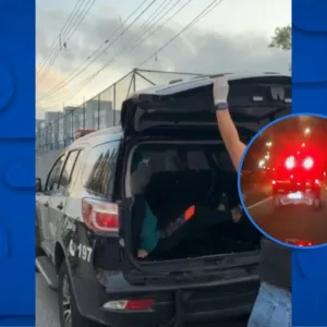 PCSC mira golpes do falso advogado e falsa central bancária | Foto: divulgação / PCSC 