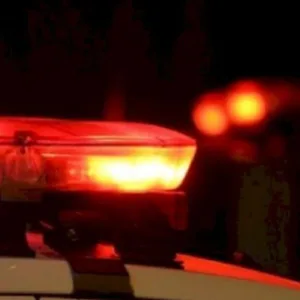 Homem é preso com arma artesanal e pés de maconha em Lages | Imagem ilustrativa