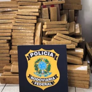 PRF apreende mais de meia tonelada de maconha em SC